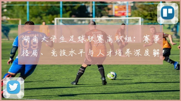 湖南大学生足球联赛高职组：赛事格局、竞技水平与人才培养深度解析