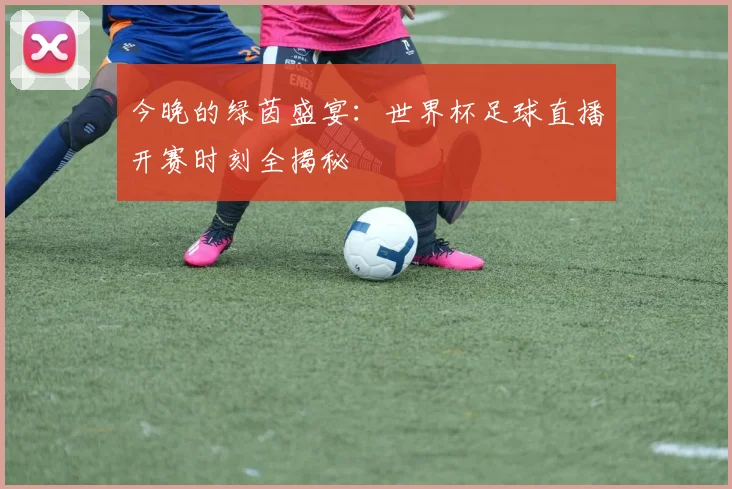今晚的绿茵盛宴：世界杯足球直播开赛时刻全揭秘