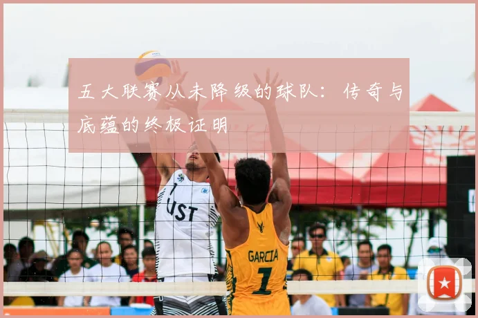 五大联赛从未降级的球队：传奇与底蕴的终极证明